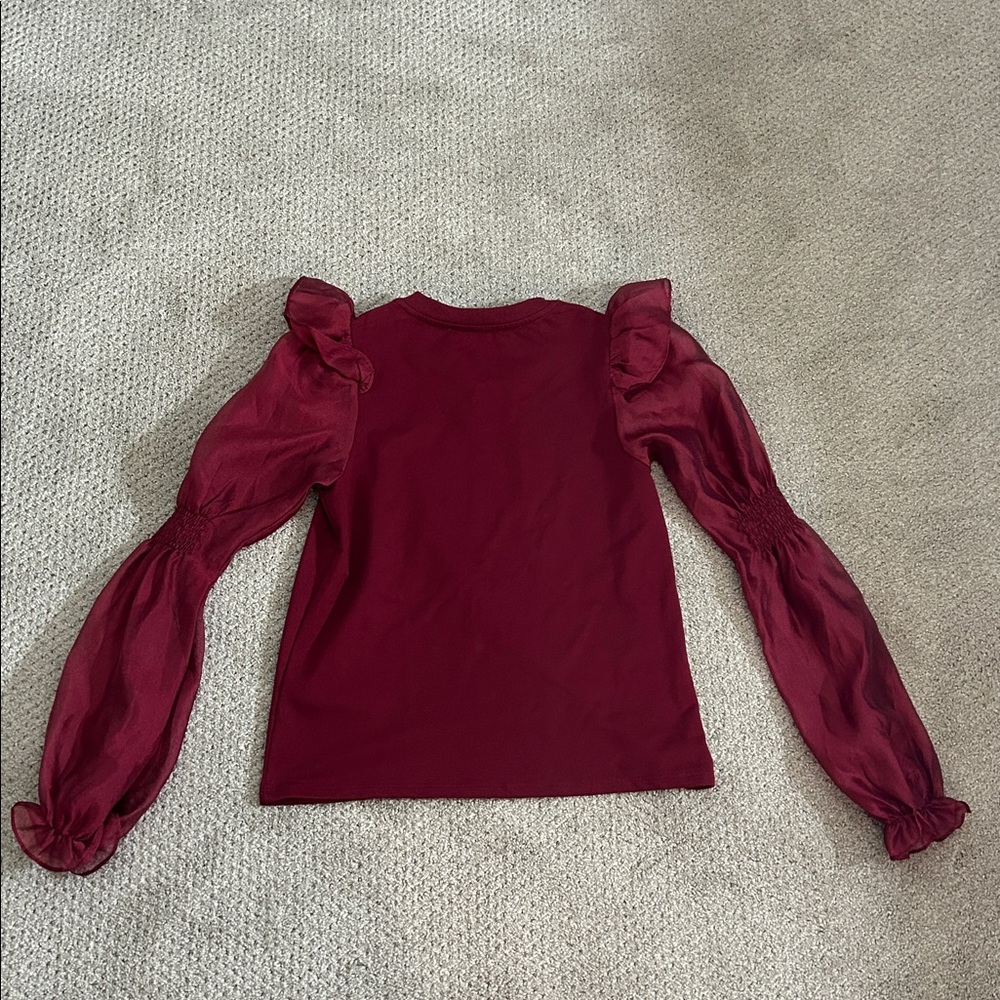 NWT Anthropologie Organza Sheer Long Sleeve Blouse Top - Picture 3 of 7